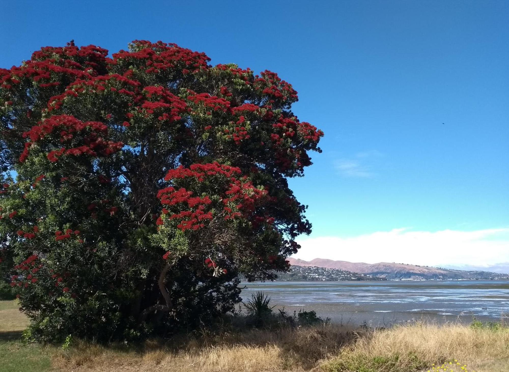 South Brighton Holiday Park Christchurch Eksteriør bilde
